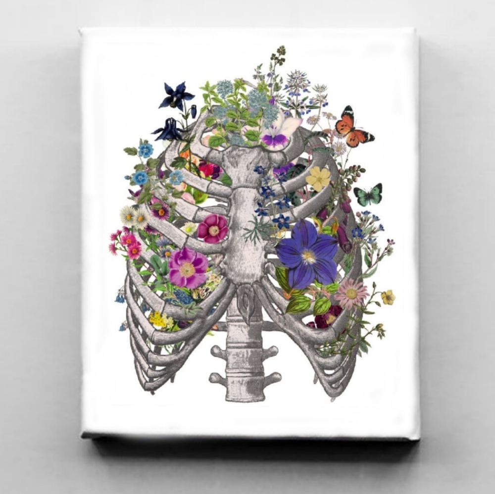 Anatomy Anatomical Skull Canvas Art